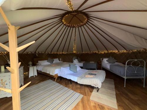 Chestnut - Yurt, Slane (photo 3)