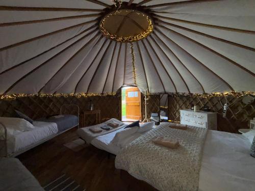 Chestnut - Yurt, Slane (photo 4)