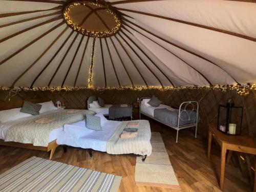 Chestnut - Yurt, Slane (photo 5)