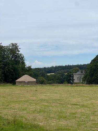 Chestnut - Yurt, Slane (photo 6)