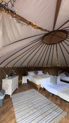 Chestnut - Yurt, Slane (photo 7)