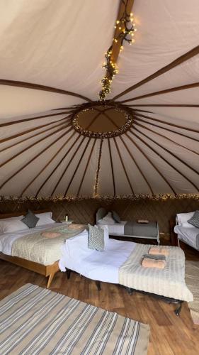 Chestnut - Yurt, Slane (photo 8)