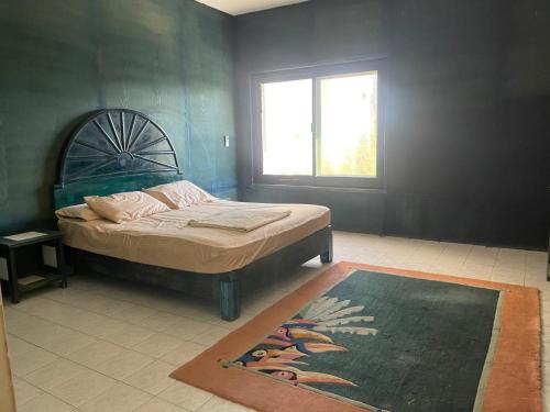 Villa 5 with Private Pool, Fayed (photo 10)