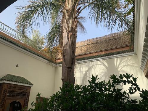 RIAD VERT de Nina