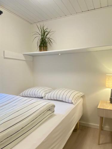 Ålevænget 1 (Alevænget 1) in Skals