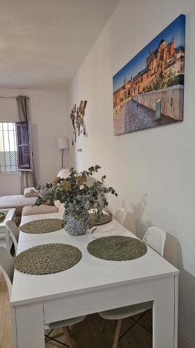 Apartamento Menina Santa Ana, Córdoba (photo 7)