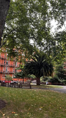 Ideal location Central London Gem Former Monastery Double Room in Mayfair, Londýn (fotografie 10)