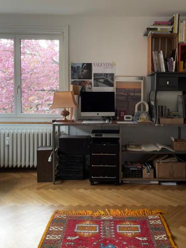 Charming 2 Room Apartment in Peaceful Brunau, Curych (fotografie 7)