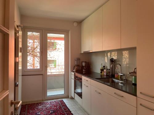 Charming 2 Room Apartment in Peaceful Brunau, Curych (fotografie 10)