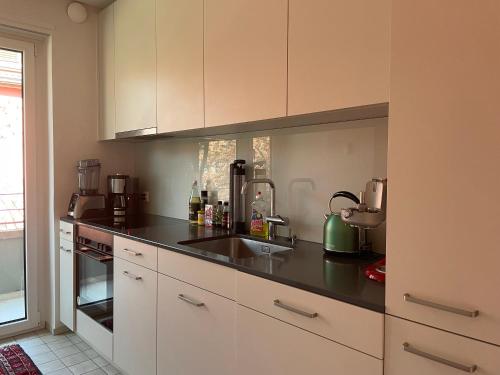 Charming 2 Room Apartment in Peaceful Brunau, Curych (fotografie 9)