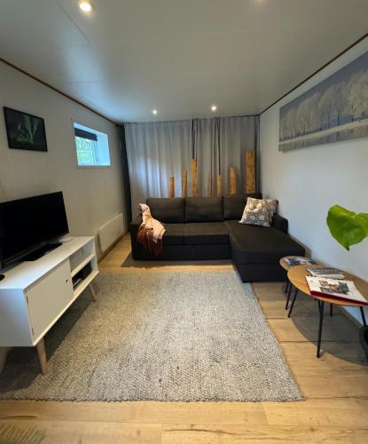 The Crush in Kvaloysletta