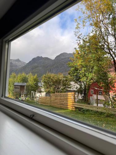 grădină, The Crush in Kvaloysletta