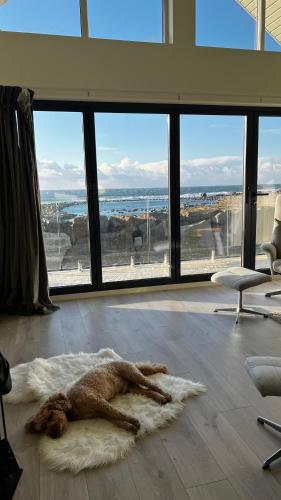 Stylish Coastal House with Stunning Ocean View in Borhaug