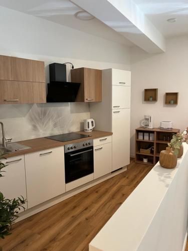 ANER 6 eleganter Loft mit Infrarotsauna in Dresden Weißer Hirsch, Drážďany (fotografie 7)