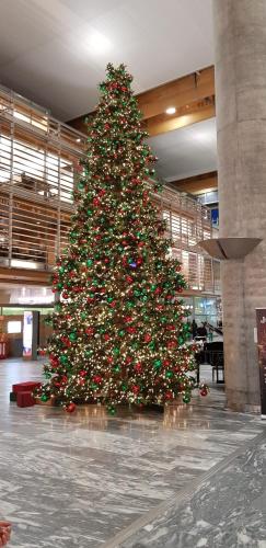 Hus Klaralven in Backa