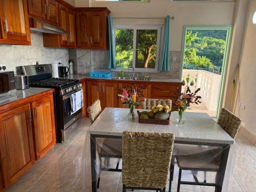 You 4 Ric Piton Suites in Soufriere