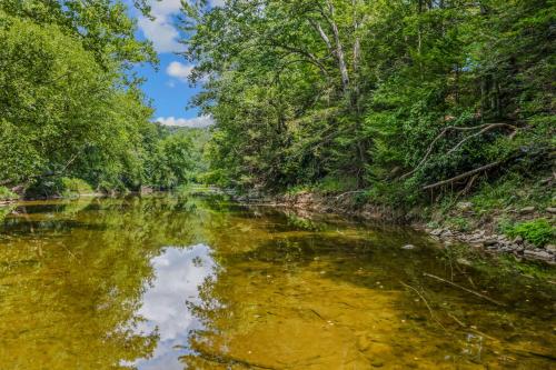 Summerfield Cottage - image 14