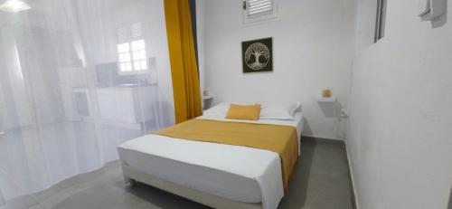 La Fleur Doré Studio Le Vauclin - Location saisonnière - Le Vauclin