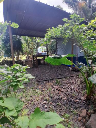 Ravehei smile relais 2 moorea in جزيرة  موريا