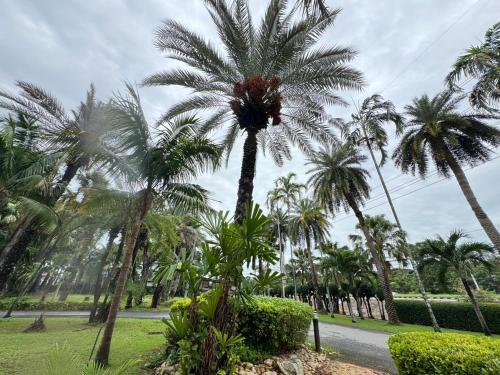 Saenpalm Training Home - 정원