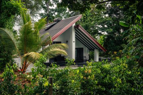 Viesnīcas āriene, Nildiya Cottages in Elpitiya