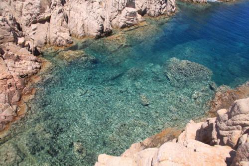Campesi - main image
