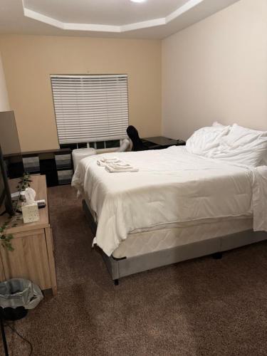 Desert Escape 4BR and 3BA Minutes to Joshua Tree in Twentynine Palms