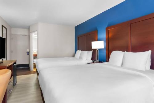 Comfort Inn Greenville - Haywood Mall - image 11