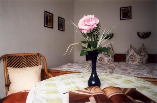 Pension Alter Zausel - image 11