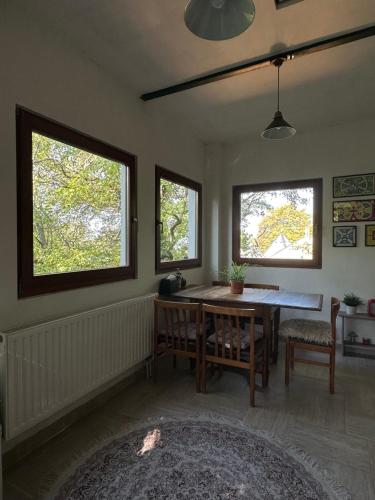 Rustic Cottage & Garden Retreat on Buda Hilltop, Budapest (photo 10)