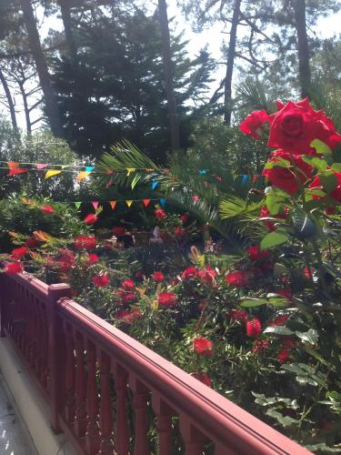 Exterior view, Chambre d'hotes d'Emilie in Anglet