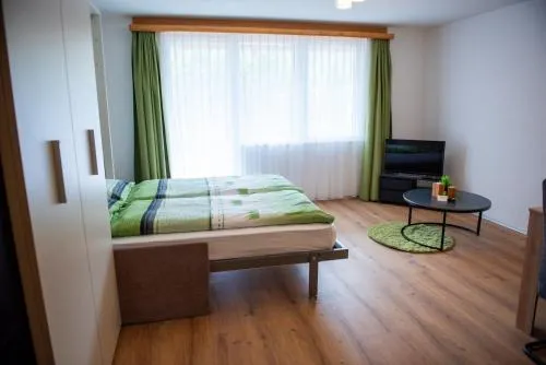 Apartment Moulin in Saas-Grund, Schweiz