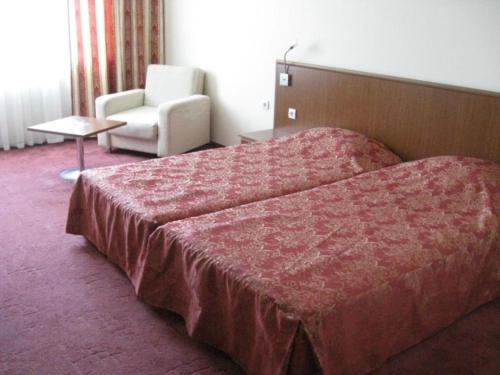 Hotel Elegance, Асеновград (фото 9)