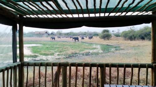 Nyati House in Khwai