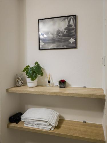 Peaceful Apartment next to Jubilee Synagogue, Praga (foto 6)