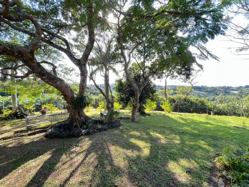Ayoba Flatlet - Ayoba Estate, Ramsgate (fotografie 7)