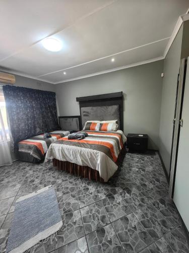 Flying Fish in Hibberdene