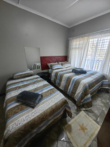 Flying Fish in Hibberdene