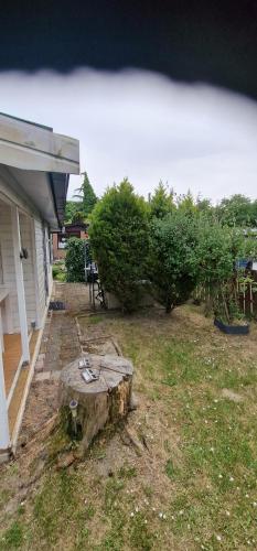 Tiny house op een volkstuinverenging, Rotterdam (photo 8)