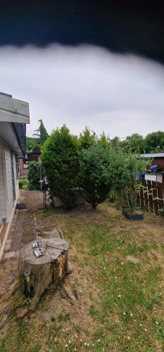 Tiny house op een volkstuinverenging, Rotterdam (photo 10)