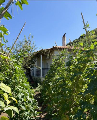 Villa Lazaros in 卡納拉基