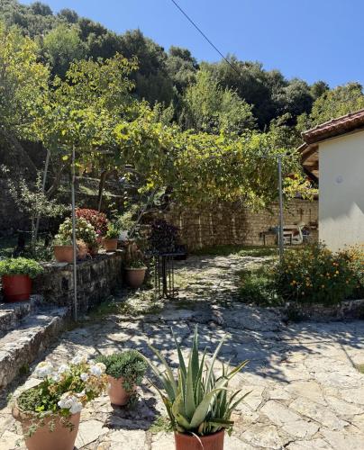 Villa Lazaros in 卡納拉基