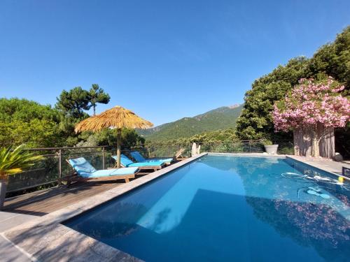 Villa rundinella - Orto