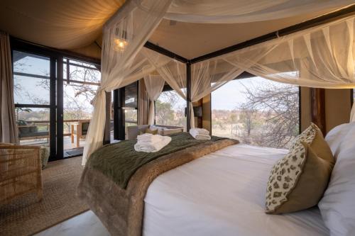 Sausage Tree Safari Camp - Hoedspruit