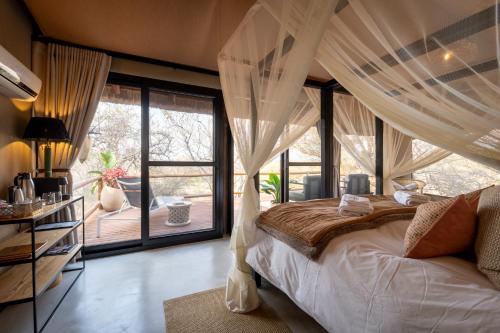 Sausage Tree Safari Camp - Hoedspruit