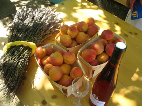 Gite La Motette Drome Provencale in Rousset-les-Vignes