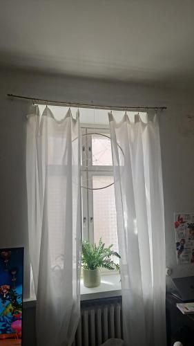 private apartment in the heart of Kallio, Helsinki (photo 3)