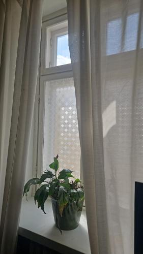 private apartment in the heart of Kallio, Helsinki (photo 4)