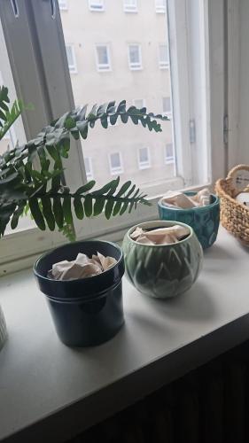 private apartment in the heart of Kallio, Helsinki (photo 5)