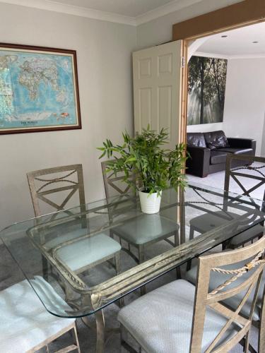 JustB - Tap to explore photos